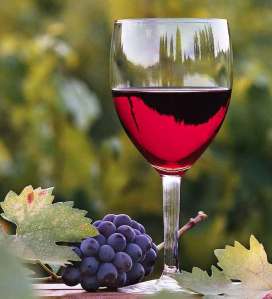 winery_default